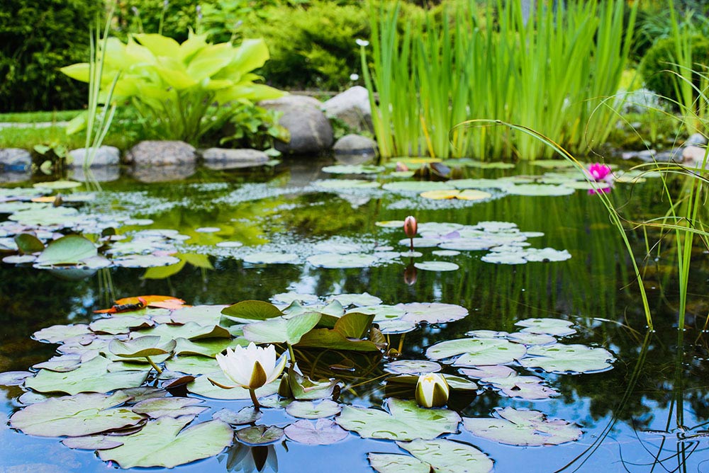 Déco Terre Jardin, La Tour-de-Trême